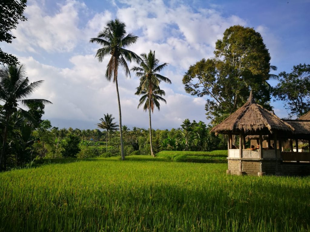 breathtaking village of tetebatu in lombok