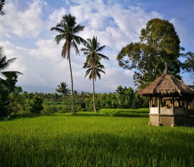 breathtaking village of tetebatu in lombok